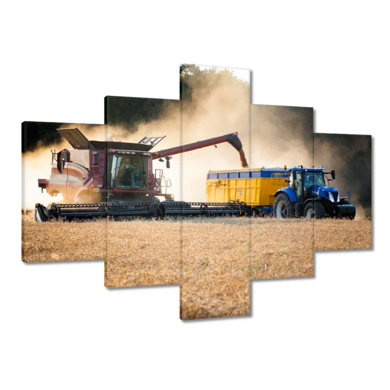 Obraz 100x70 Żniwa Kombajn Traktor