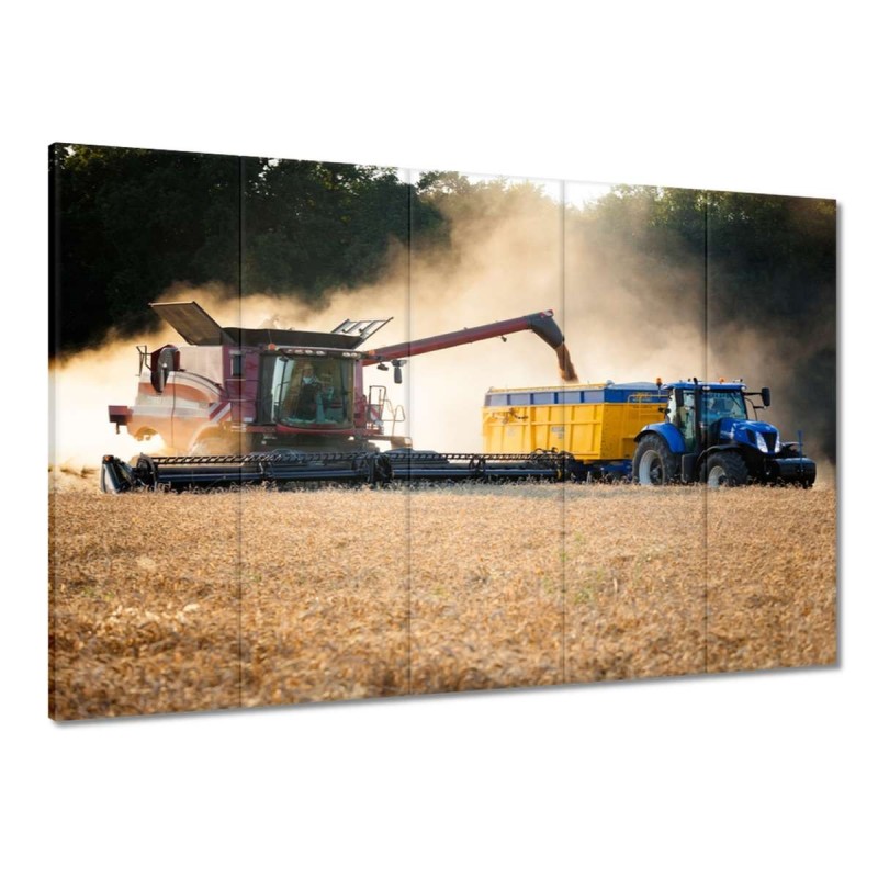 Obraz 100x70 Żniwa Kombajn Traktor