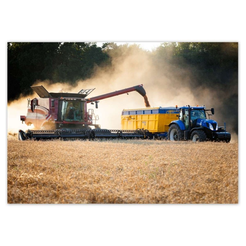 Plakat 100x70 Żniwa Kombajn Traktor