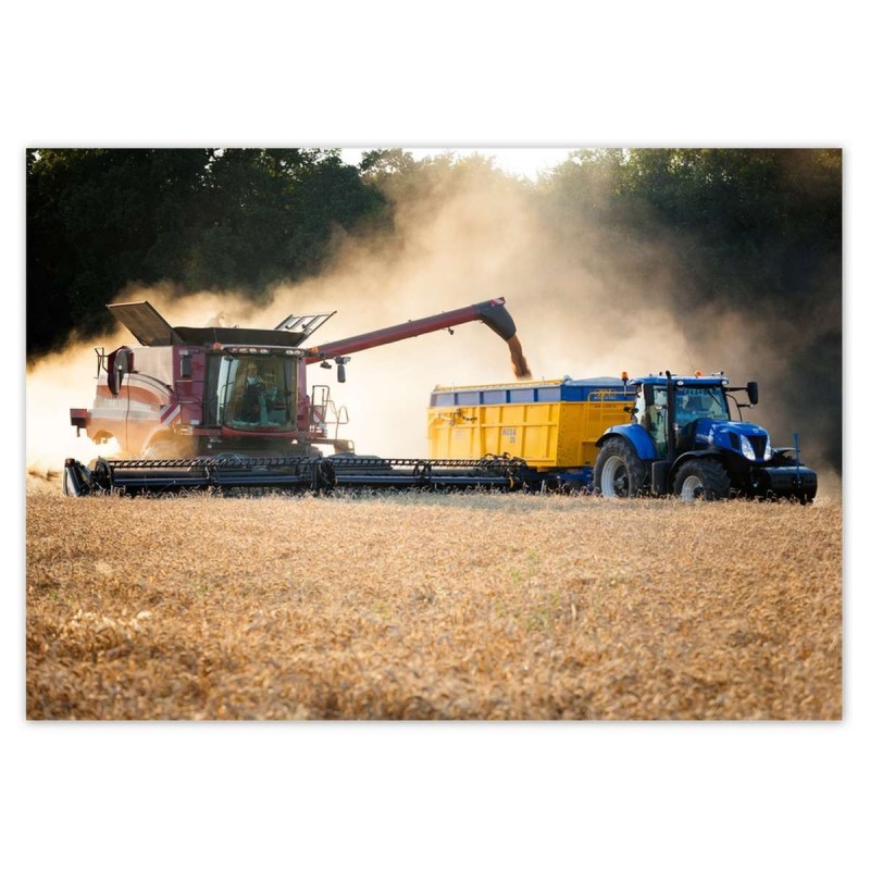 Fototapeta 208x146 Żniwa Kombajn Traktor