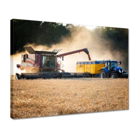 Obraz 40x30 Żniwa Kombajn Traktor