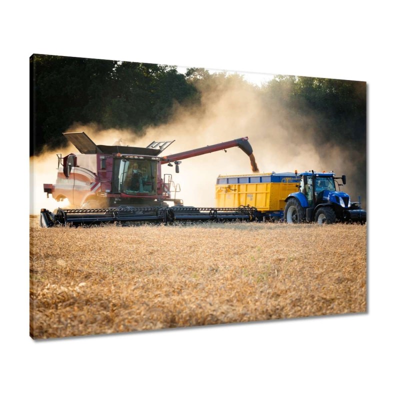 Obraz 80x60 Żniwa Kombajn Traktor