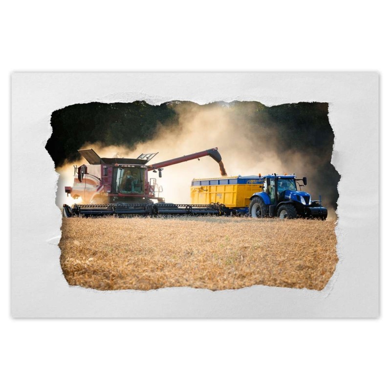 Plakat 90x60 Żniwa Kombajn Traktor