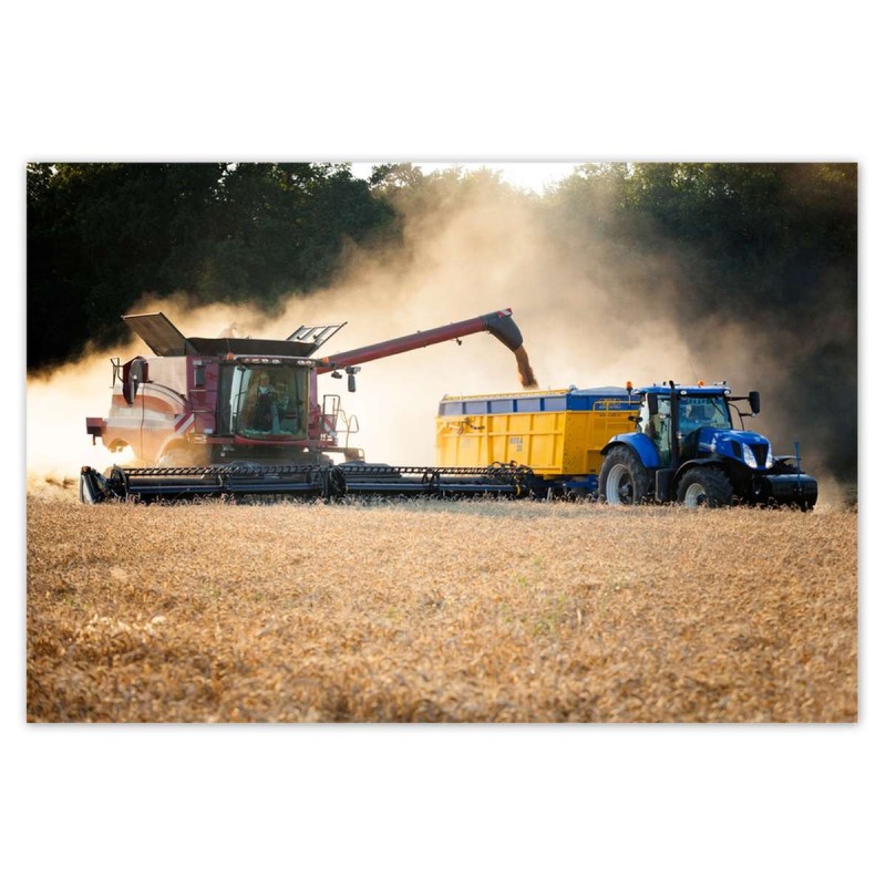 Plakat 185x125 Żniwa Kombajn Traktor