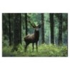 Plakat 120x80 Jeleń w środku lasu