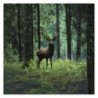 Plakat 70x70 Jeleń w środku lasu