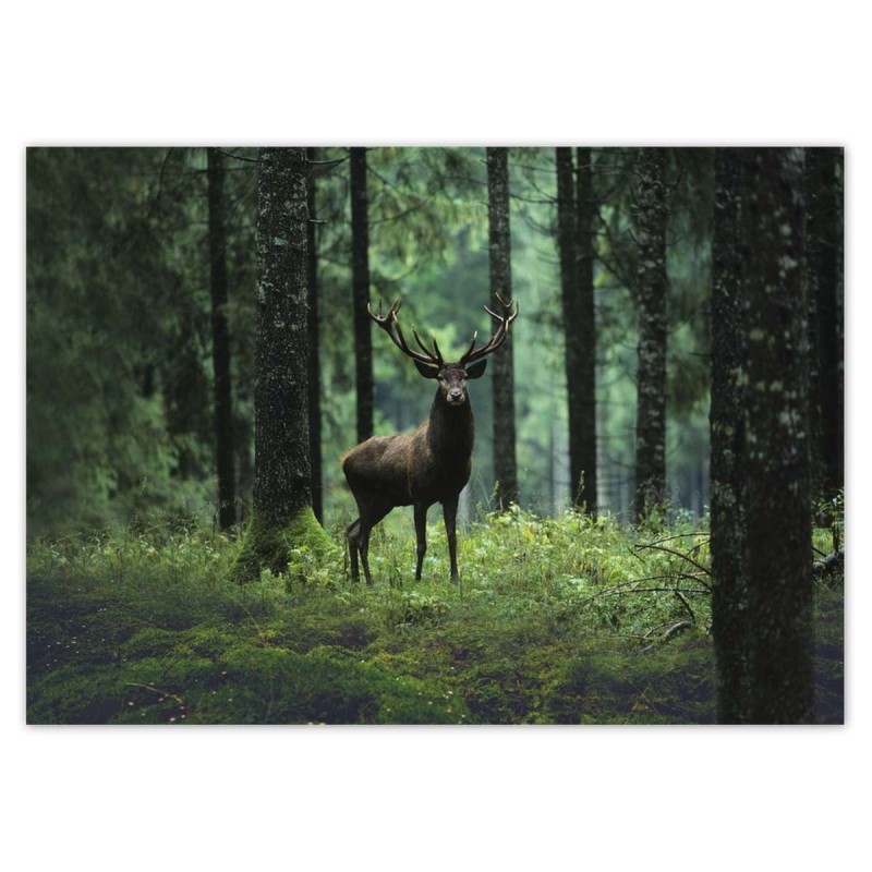 Naklejka A0 POZIOM Jeleń w środku lasu