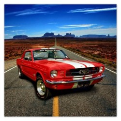 Plakat 30x30 Ford Mustang...