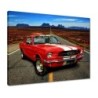 Obraz 50x40 Ford Mustang Autostrada