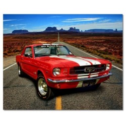 Obraz 50x40 Ford Mustang Autostrada