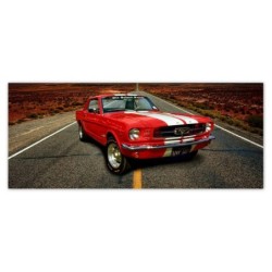 Fototapeta 250x104 Ford...