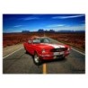 Fototapeta 254x184 Ford Mustang Autostrada